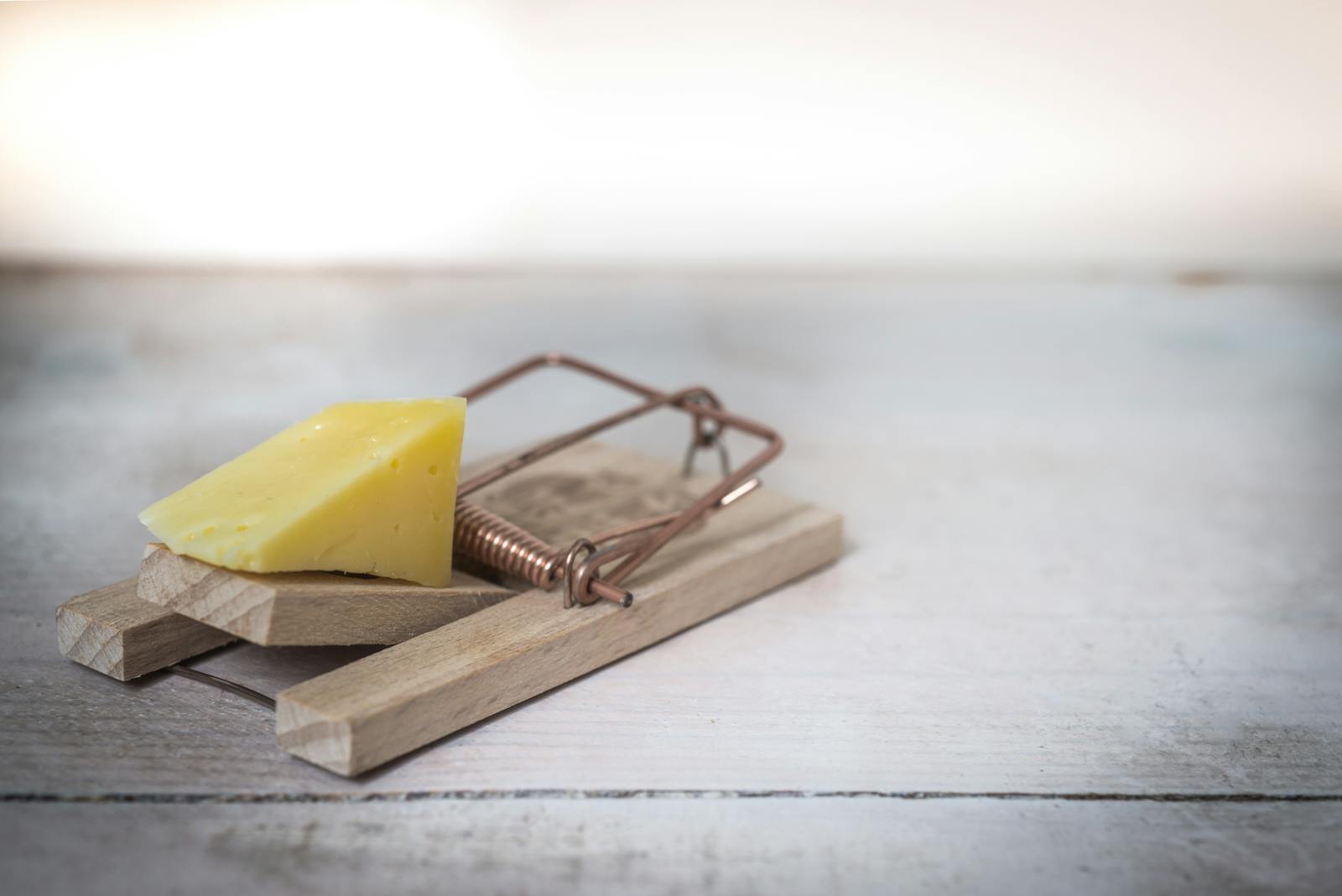 A wooden mousetrap with a piece of cheese set as bait